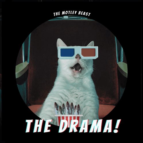 Cat in 3D Glasses Eating Popcorn Motley Beast