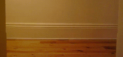 Cat In A Box On A Trolley Byeeee GIF