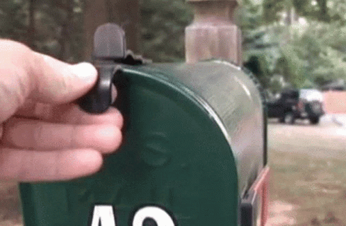 Cat In A Mail Box GIF