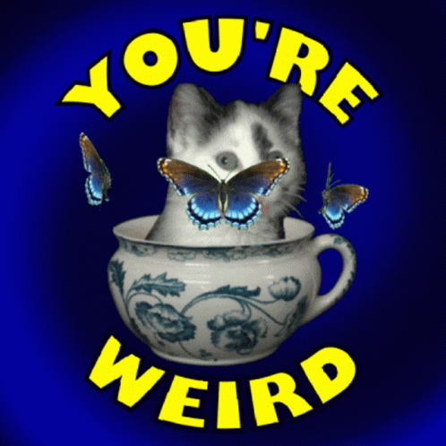 Cat In A Tea Cup You Are Weirdo GIF
