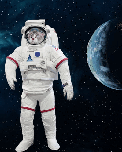 Cat in Astronaut Suit Facing Planet