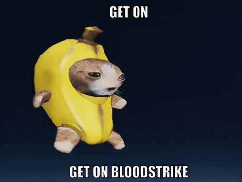 Cat in Banana Costume Get on Bloodstrike