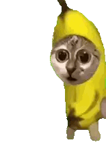 Cat in Banana Costume