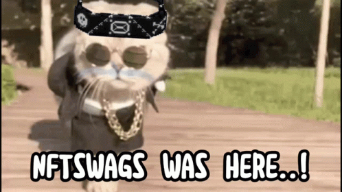 Cat in Bandana and Sunglasses Says NFTswags Was Here