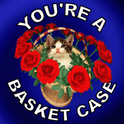 Cat In Basket Of Red Roses GIF