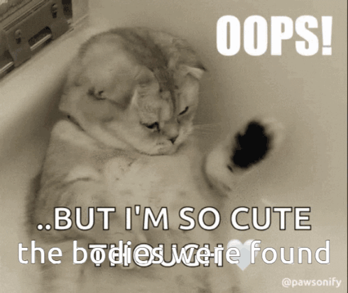 Cat in Bathtub Oops But I'm So Cute the Bodies Were Found