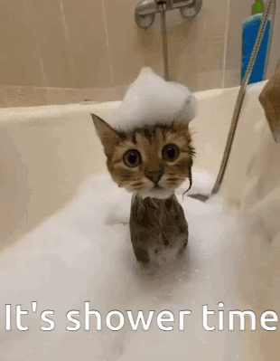 Cat in Bathtub With Foam Shower Time