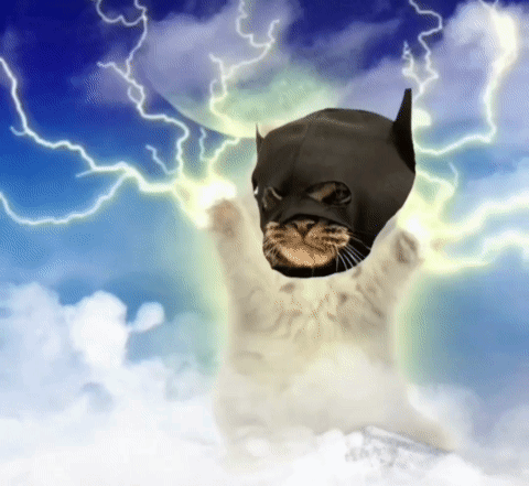 Cat in Batman Mask Flying