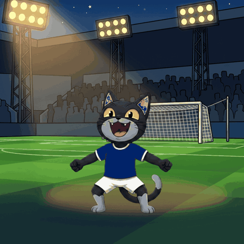 Cat in Blue Shirt and Shorts on Soccer Field