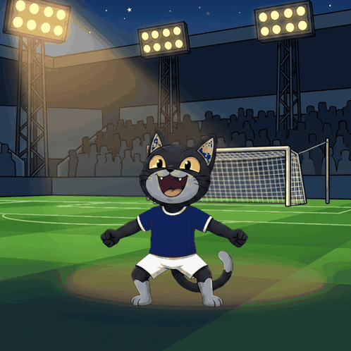 Cat in Blue Shirt White Shorts Soccer Field