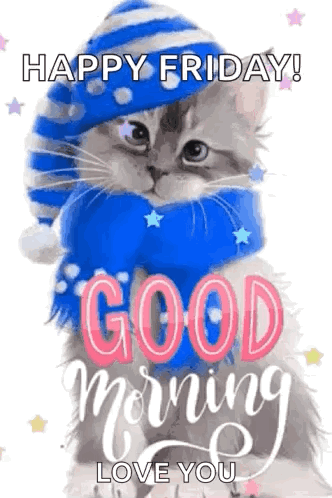Cat in Blue White Hat Says Happy Friday