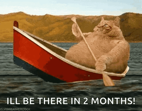 Cat in Boat Saying I'll Be There in 2 Months