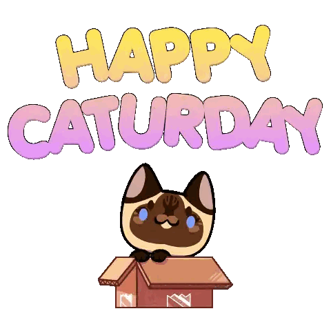 Cat in Box Happy Saturday
