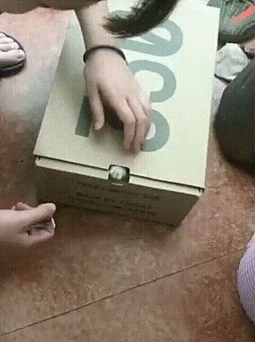 Cat In Box Nail File Trick GIF