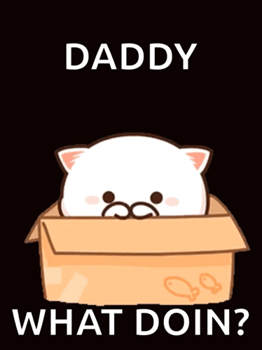 Cat in Box Saying Daddy What Doin