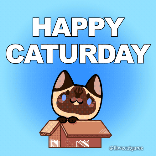 Cat in Box Saying Happy Saturday