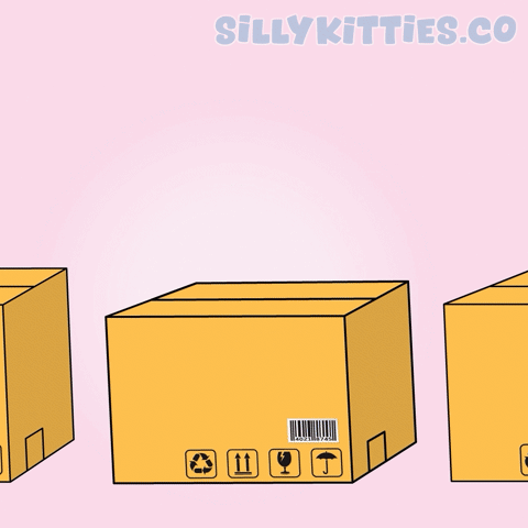 Cat in Box Saying Hi