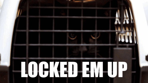 Cat in Cage Locked Em Up