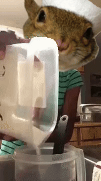Cat in Chef's Hat Pouring Liquid into Container