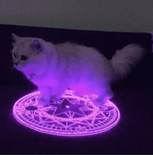 Cat In Circle Fade Away GIF