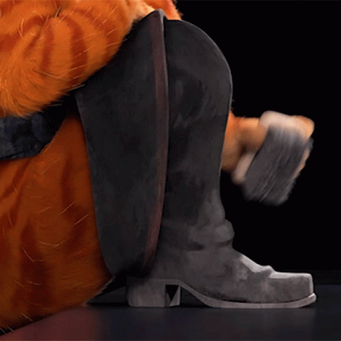 Cat In Cowboy Boots GIF