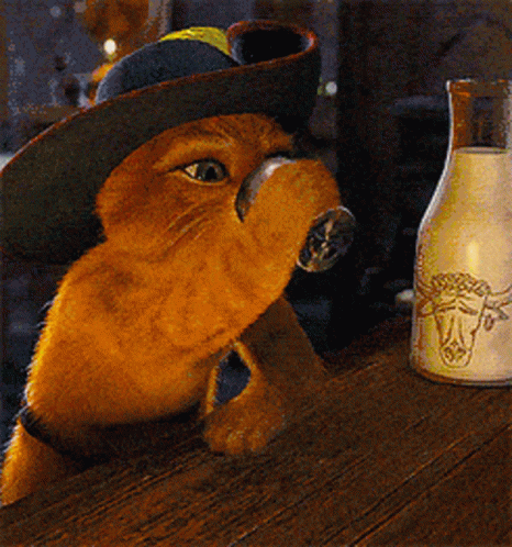Cat in Cowboy Hat and Boots Drinking from Bottle