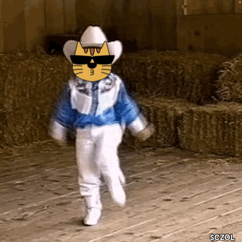 Cat in Cowboy Hat and Sunglasses Walking