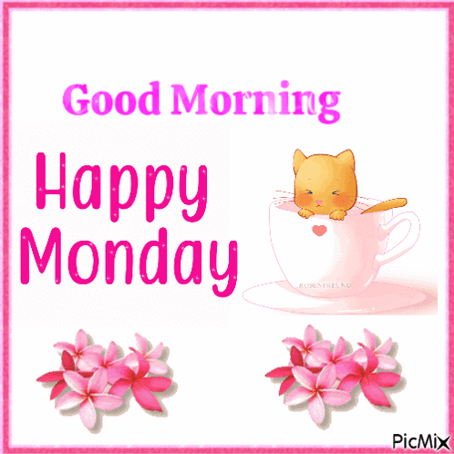 Cat in Cup Saying Happy Monday