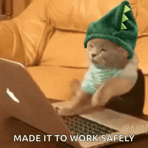 Cat In Dinosaur Hat Typing On Laptop GIF