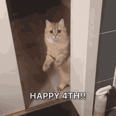 Cat in Doorway Saying Happy 4th