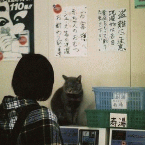 Cat in Front of 110 Sign
