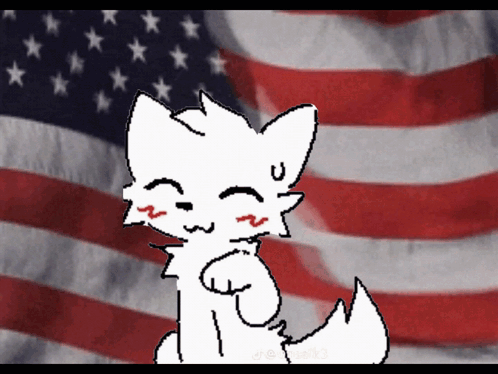 Cat in Front of American Flag