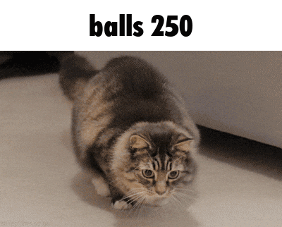 Cat in Front of Balls 250 Sign
