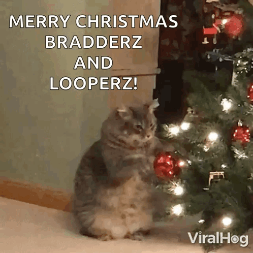 Cat in Front of Christmas Tree Saying Merry Christmas Bradderz and Looperz