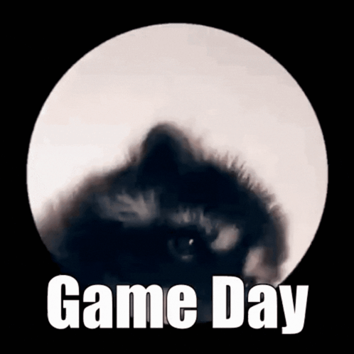 Cat in Front of Full Moon Game Day