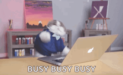 Cat in Front of Laptop Saying Busy Busy Busy