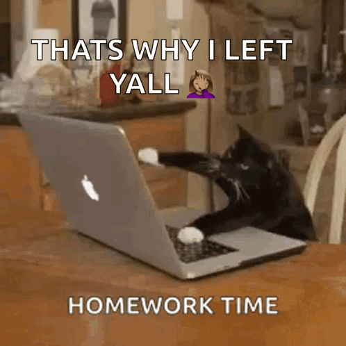 Cat in Front of Laptop Saying That's Why I Left Yall Homework Time