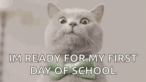 Cat in Green Bow Tie Ready for School