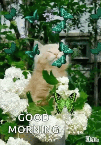 Cat In Green Floral Garden GIF