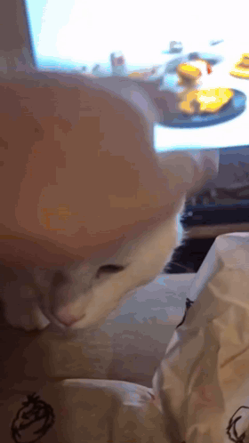Cat in Hamburger Hat Looking at Table