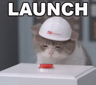 Cat In Hard Hat Pressing Launch Button GIF