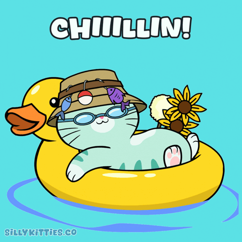 Cat in Hat and Sunglasses Floating on Yellow Rubber Duck Chillin