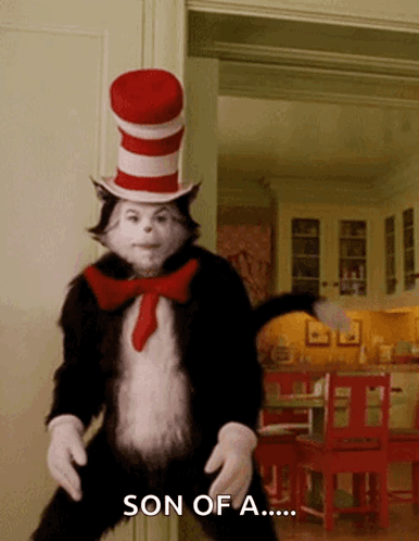 Cat In Hat Saying Son Of A GIF