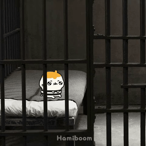 Cat in Jail Cell Hamiboom