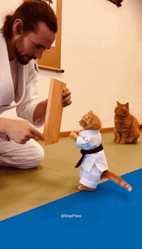 Cat in Karate Uniform Standing Next to Man