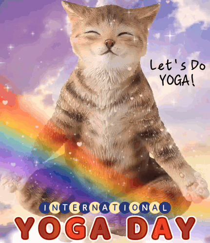 Cat in Lotus Position Saying Let's Do Yoga