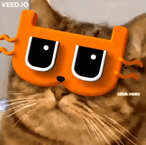 Cat in Mask Saying veed.io
