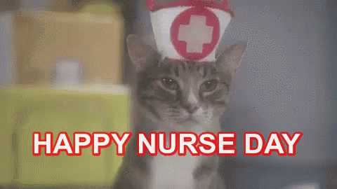 Cat in Nurse Hat Happy Nurse Day