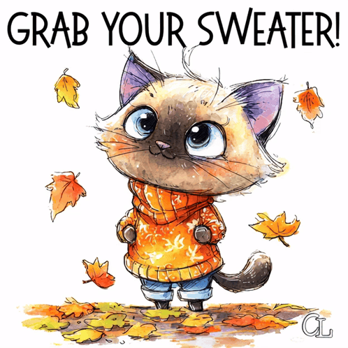 Cat In Orange Sweater Saying Grab Your Sweater GIF