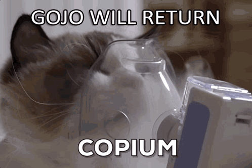 Cat in Oxygen Mask Gojo Will Return Copium